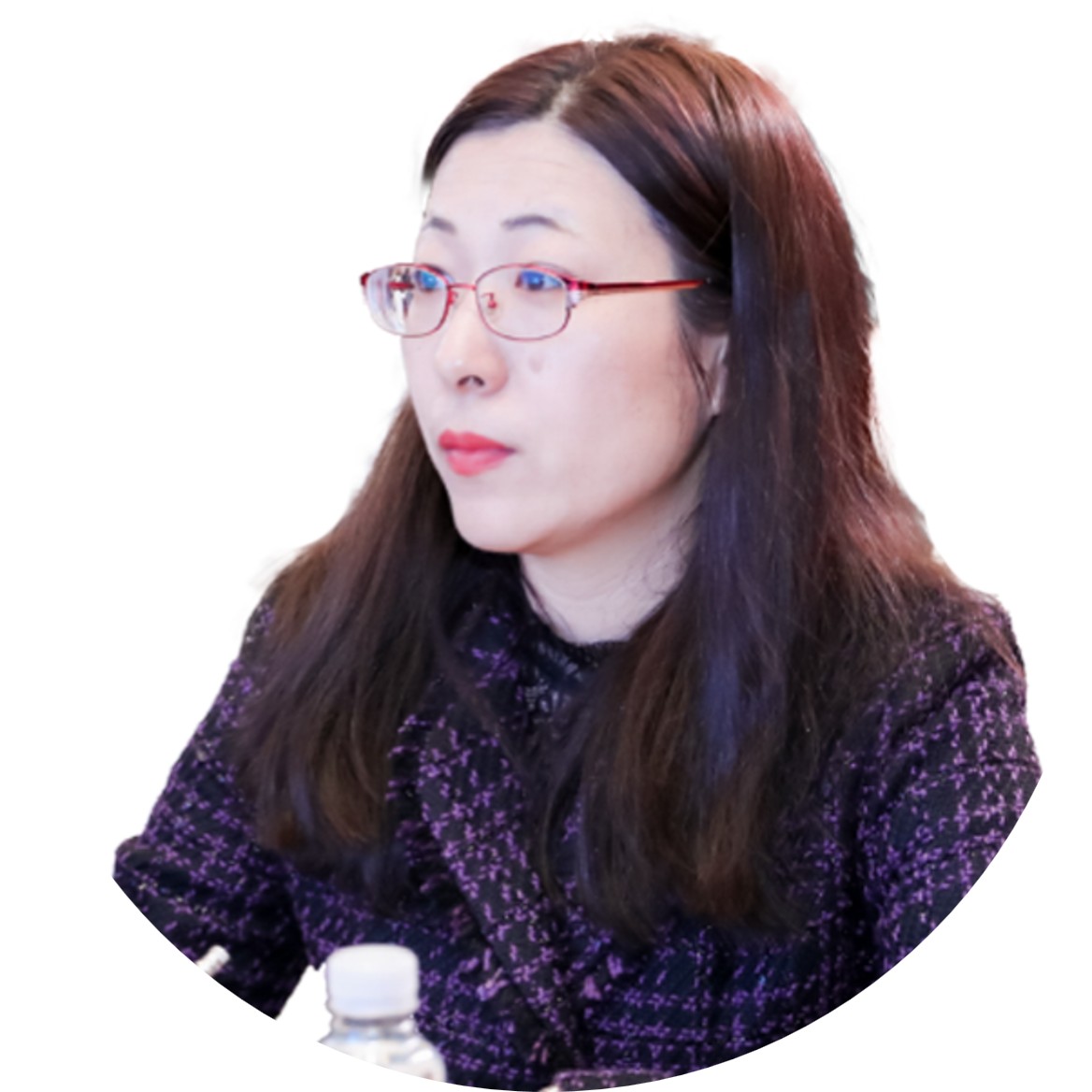王春燕